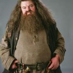 Actor Robbie Coltrane, who played Harry Potter’s Hagrid, passes on at age 72
