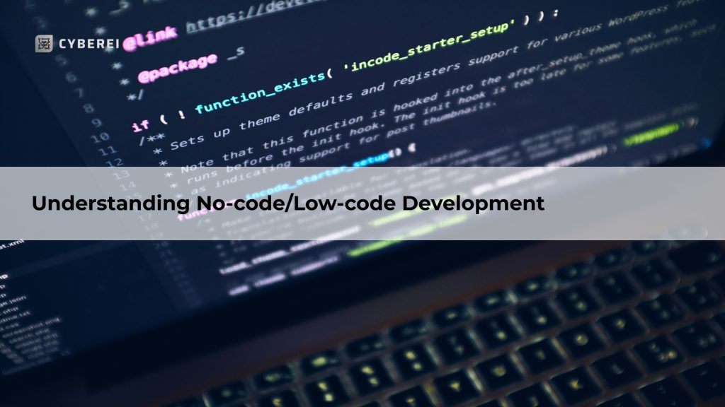 Understanding No-code/Low-code Development
