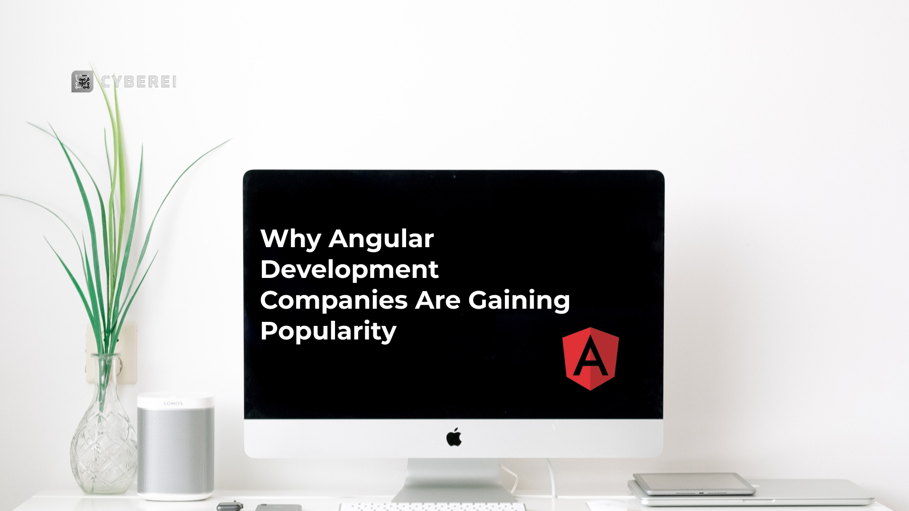 Why Angular Development Companies Are Gaining Popularity